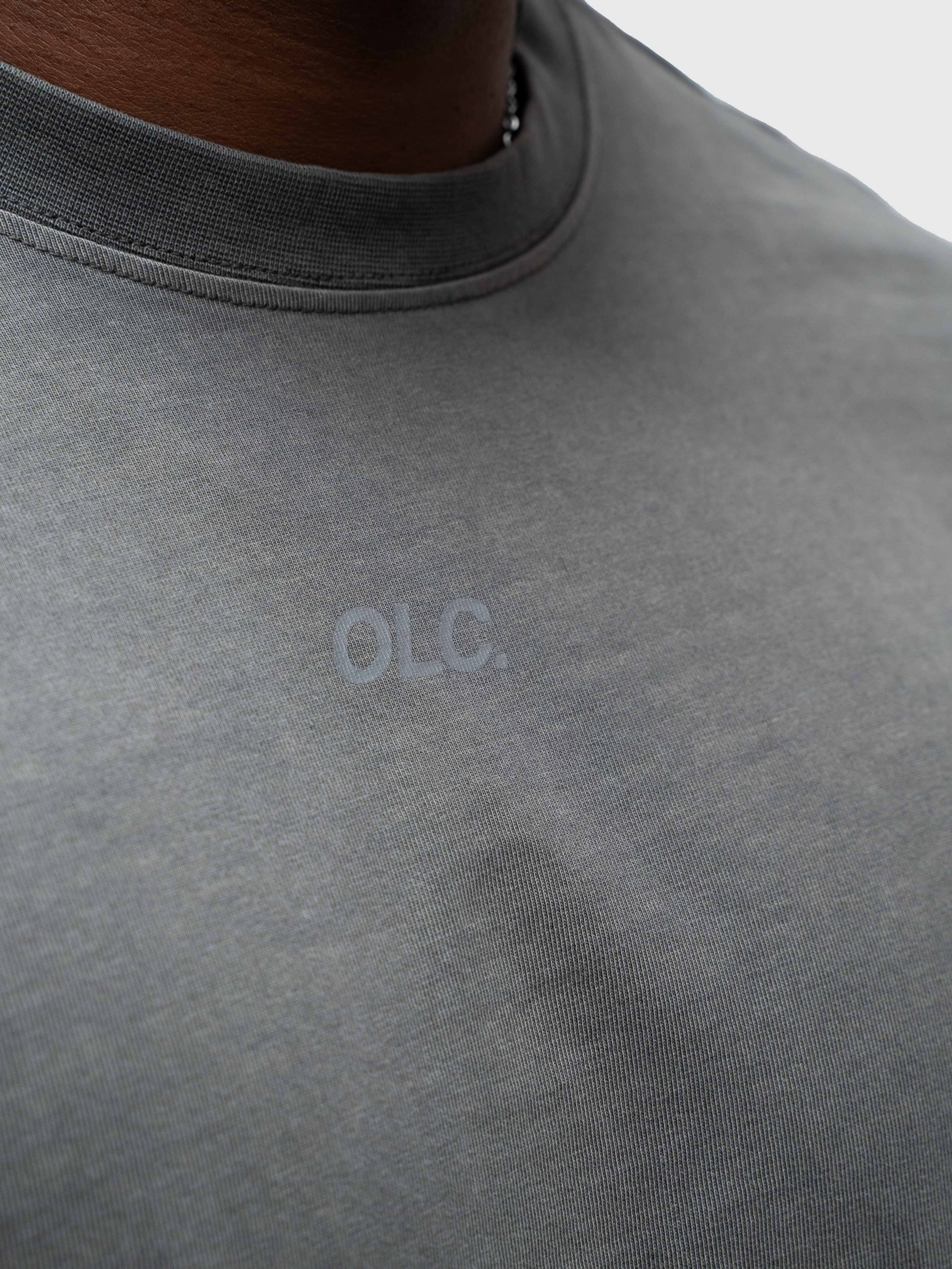Confidence Heavyweight Box Tee - Washed Grey/Reflective